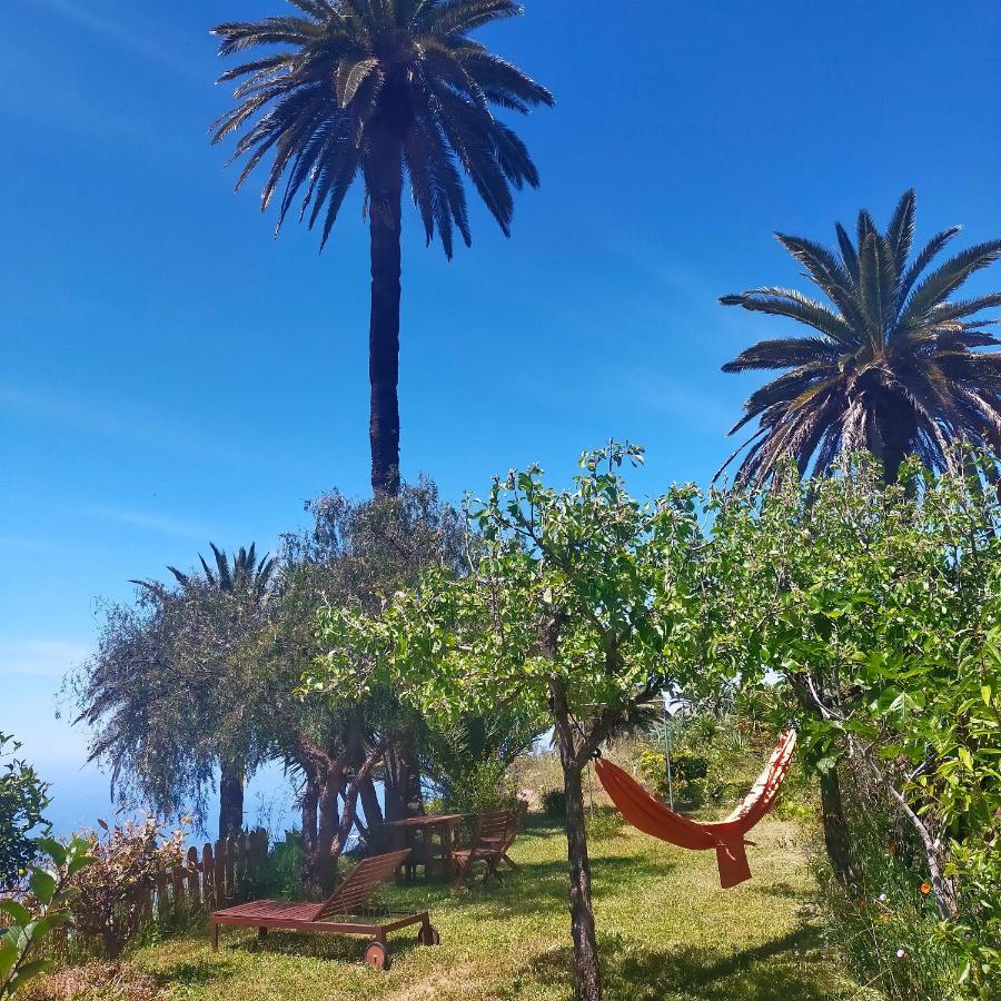 Vistas Del Sur Villa Alajero Exterior photo